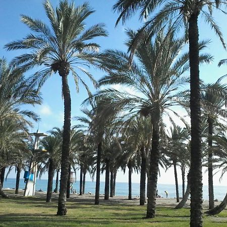 Estudio Costa Del Sol - Torremolinos Zewnętrze zdjęcie