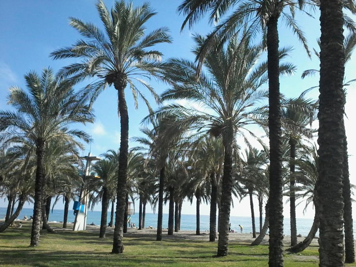 Estudio Costa Del Sol - Torremolinos Zewnętrze zdjęcie